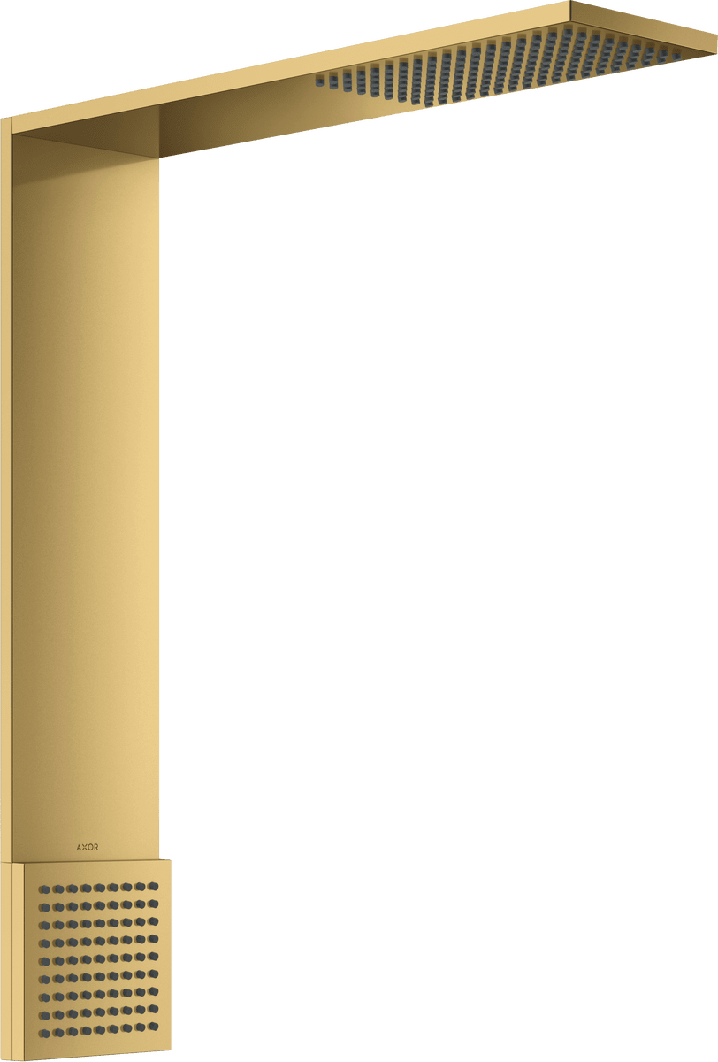 HANSGROHE AXOR ShowerComposition Sprchový modul 110/220 1jet se šíjovou sprchou #12593990 - leštěný vzhled zlata