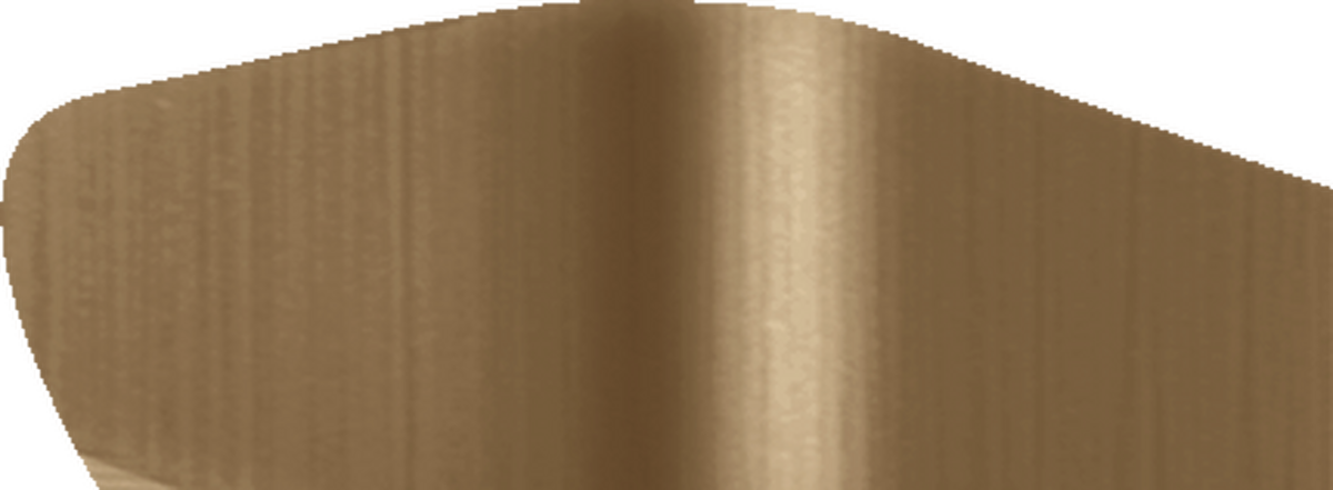 HANSGROHE AXOR Universal Rectangular Kosmetické zrcadlo #42649140 - kartáčovaný bronz