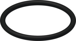 Obrázek TECE spare part O-ring (valve seat) #9820005