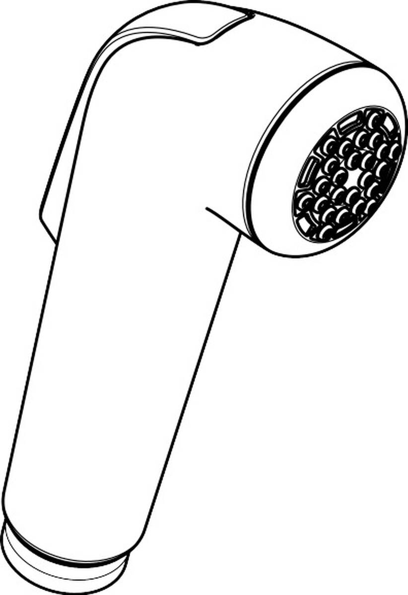 HANSGROHE ruční sprcha #92317000