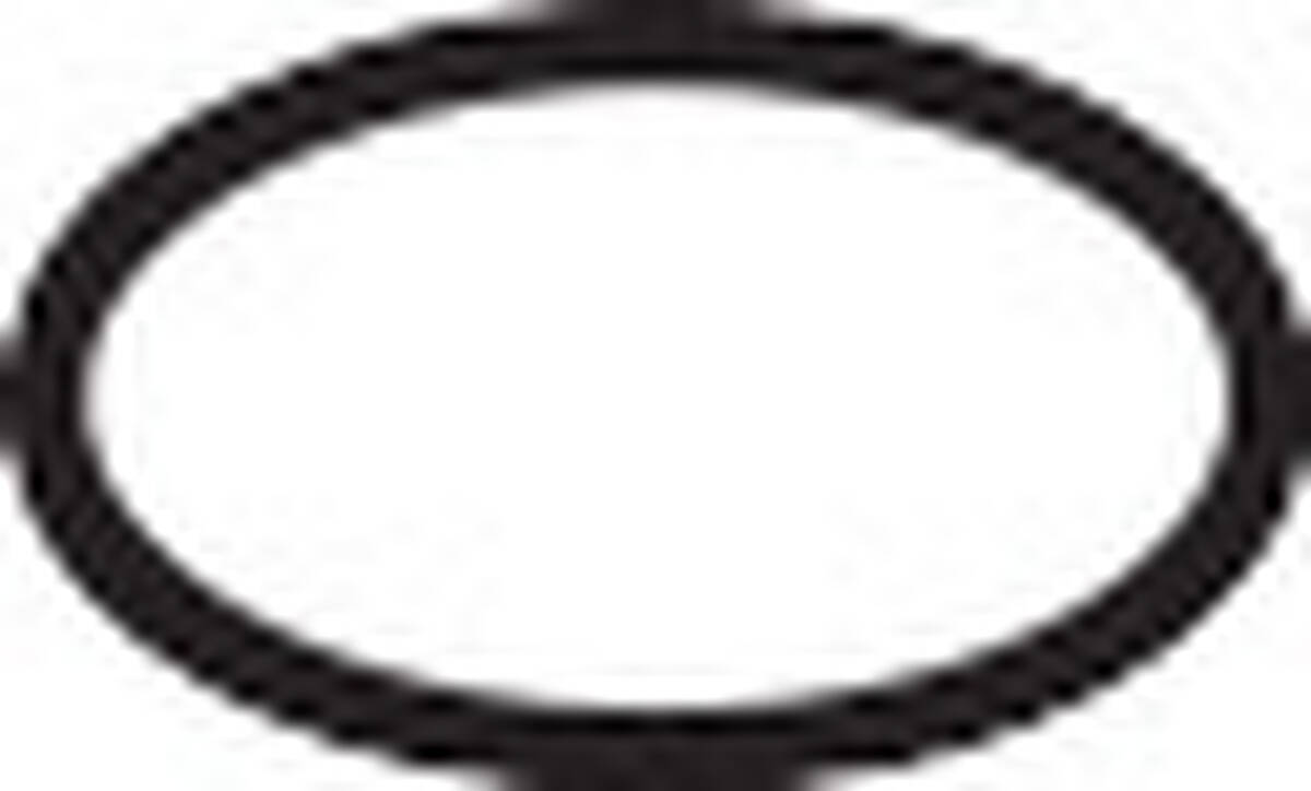 HANSGROHE O-kroužek 4x1,5 #93463000