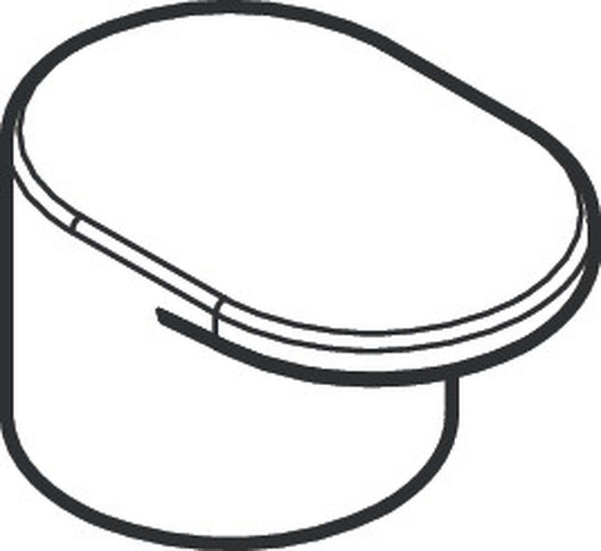HANSGROHE rukojeť #93899000