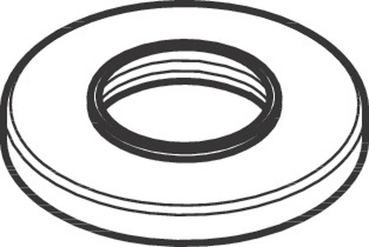 HANSGROHE rozeta pro rukojeť #93698000