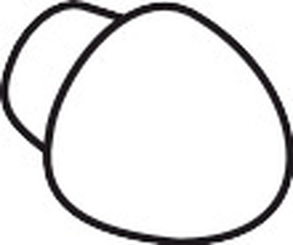 HANSGROHE knoflík přepínače úplný #95013000