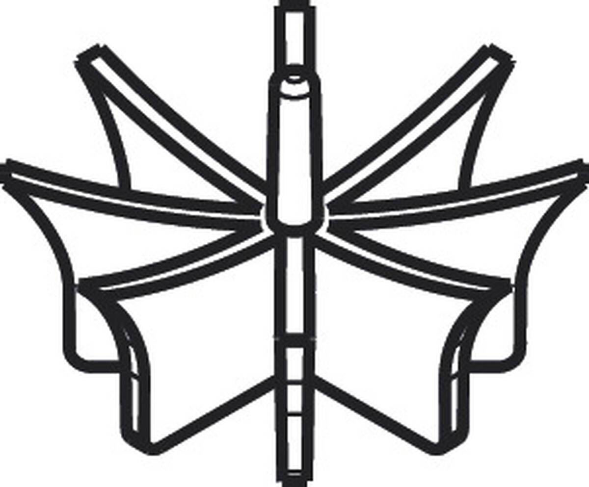 HANSGROHE sítko pro záchyt vlasů #94757000