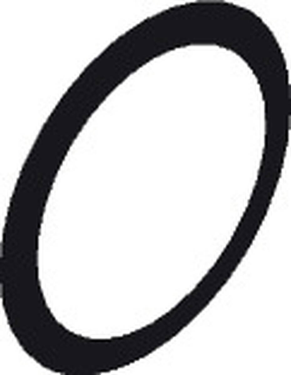 HANSGROHE Těsnění #97752000