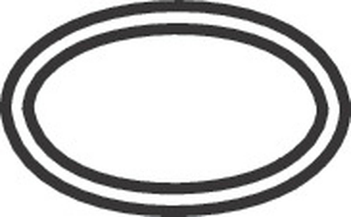 HANSGROHE O-kroužek 13x1 #98386000