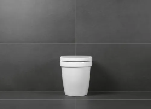 Obrázek VILLEROY BOCH WC sedátko Architectura, bílá Alpine #98M9D101