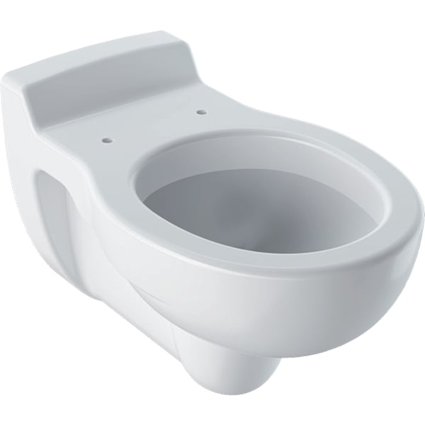GEBERIT Bambini závěsné WC pro děti, nízké splachování, pro WC sedátko #201700000 - bílá