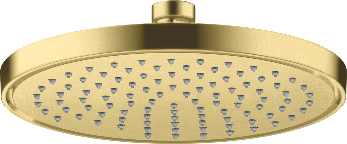 HANSGROHE Sprchová hlavice AXOR ShowerSolutions 220 1jet #35382950 - Brushed Brass