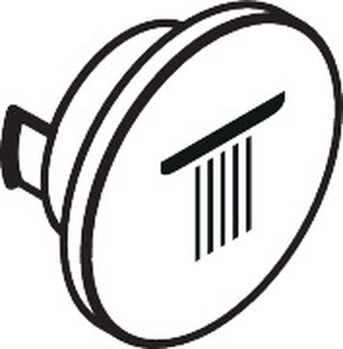HANSGROHE symbol horní sprchy #93308820 - kartáčovaný nikl