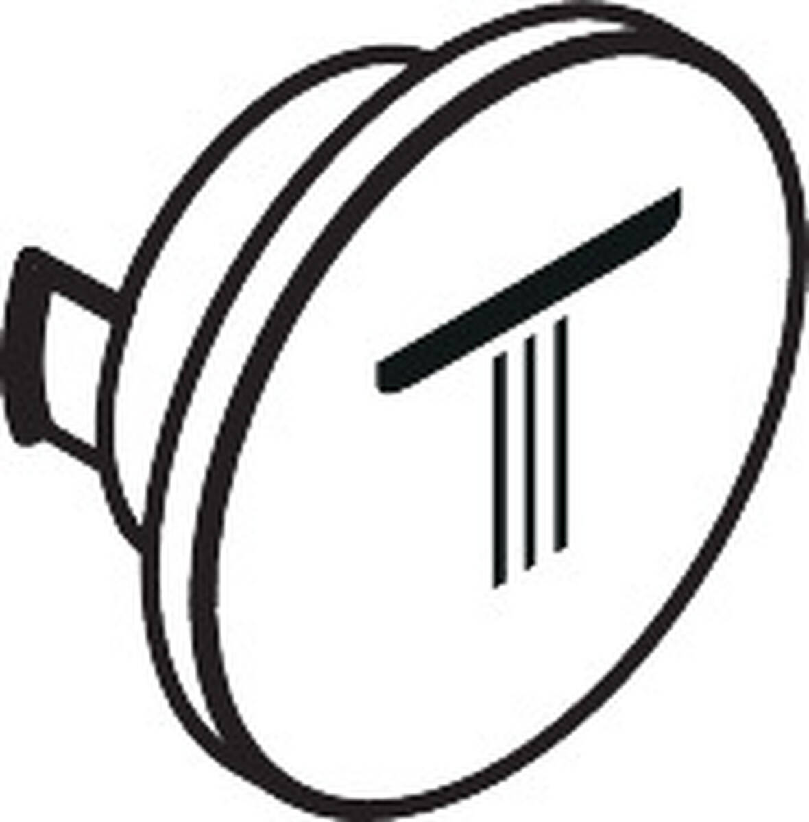 HANSGROHE symbol horní sprchy Rain malý #93663820 - kartáčovaný nikl