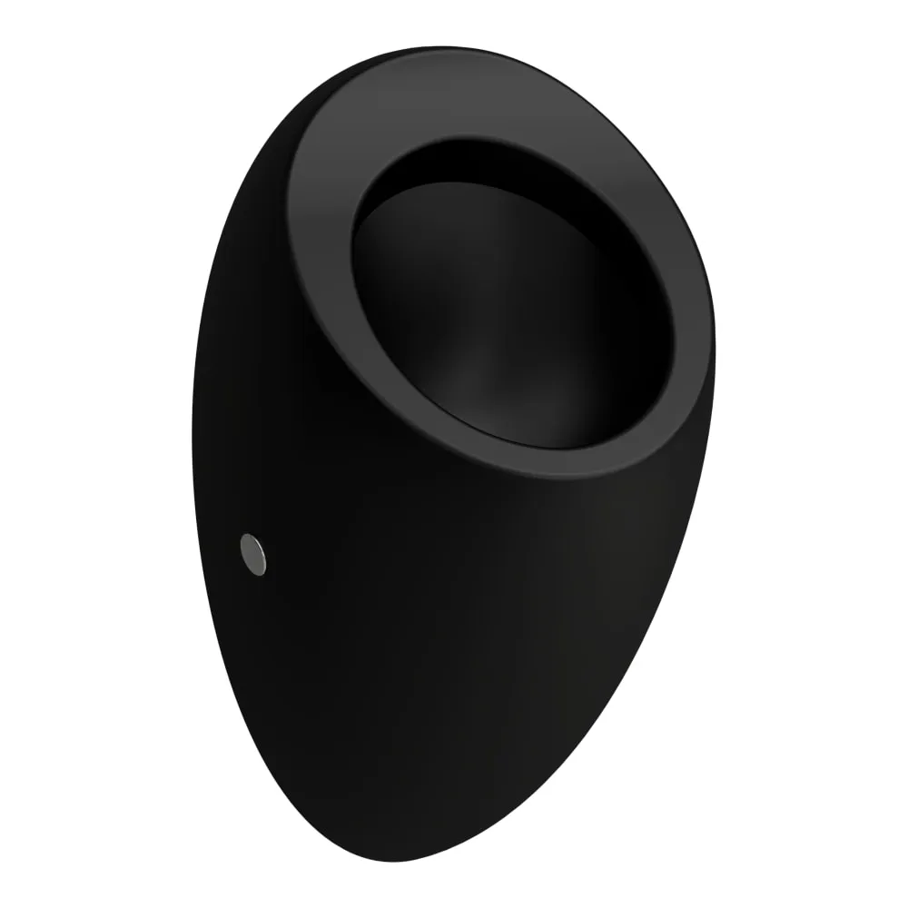 LAUFEN ILBAGNOALESSI Odsávací urinál, bez krytu 325 x 290 x 585 mm #H8409757160001 - 716 - Černá mat